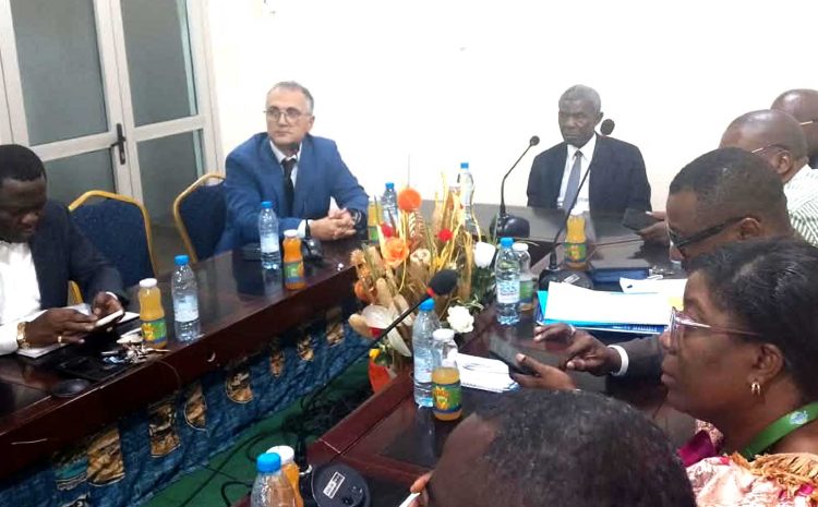 Renforcement des capacités de la MAGZI pour les zones industrielles et les écosystèmes industriels au Cameroun 2027-2033